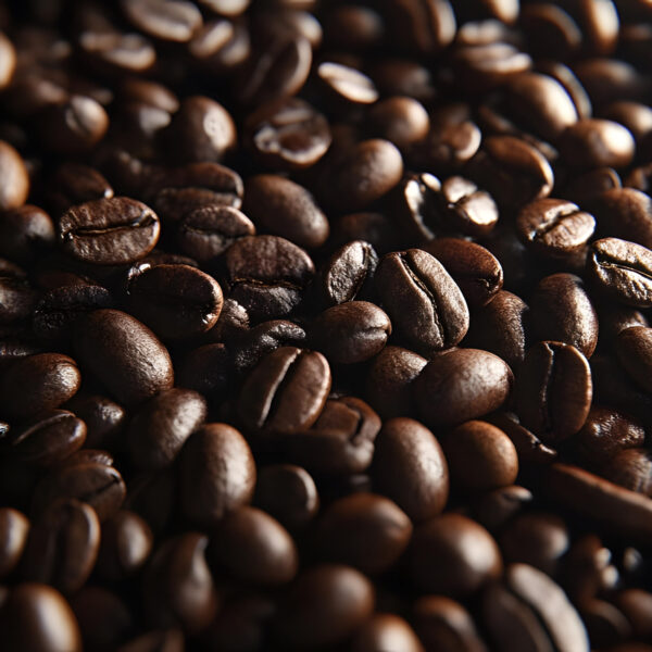 Dark Roast - Image 3